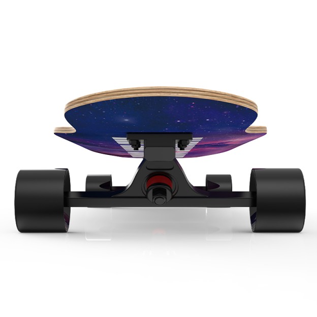 Professional All-Wood Longboard Skateboard