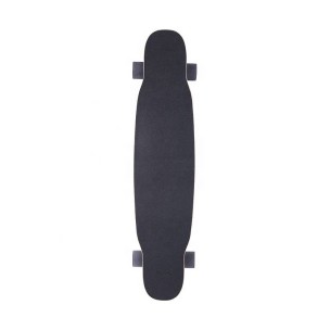 Longboard Skateboard for Beginners