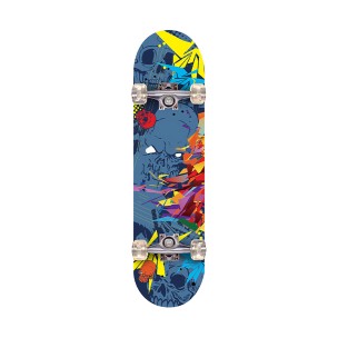 Graffiti Painted Street Skateboard Graffiti Painted Street Skateboard