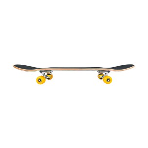 Everyday Recreation Double-Kick Street Skateboard Everyday Recreation Double-Kick Street Skateboard