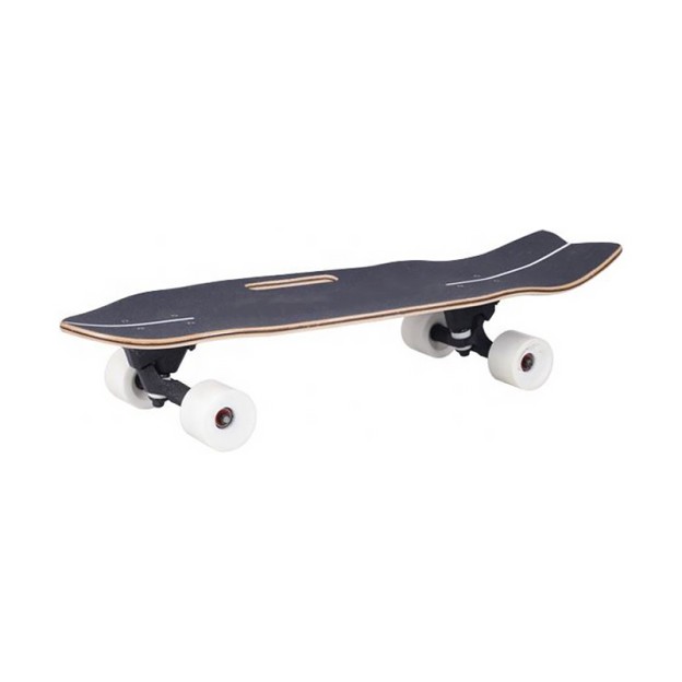 Land Surfing Skateboard Land Surfing Skateboard
